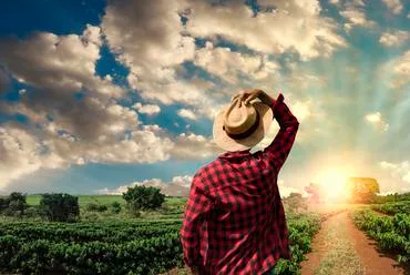 九游体育1以九游体育下载为核心，带来高效便捷的体验。 - 九游体育1